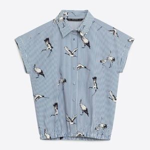 ZARA blue striped birds print blouse